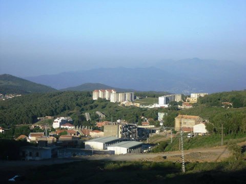 Béjaïa, for over 40 years: The absence of electricity paralyzes the Adekar activity zone