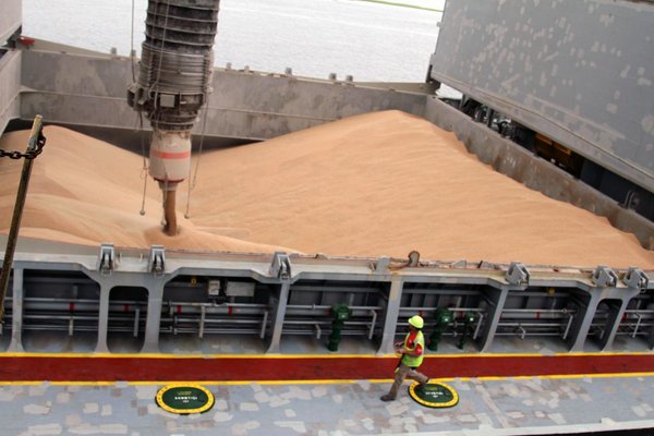 Cereals and Energy: Putin's Egyptian Bet...