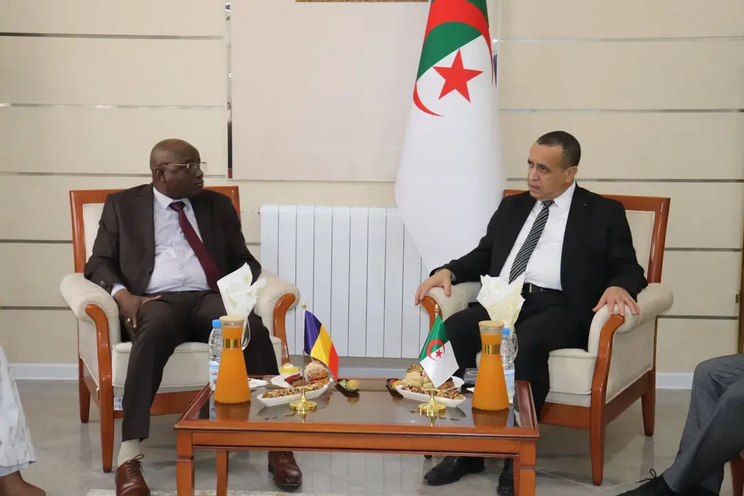 Chadian delegation in Algeria to benefit from expertise in operating power plants