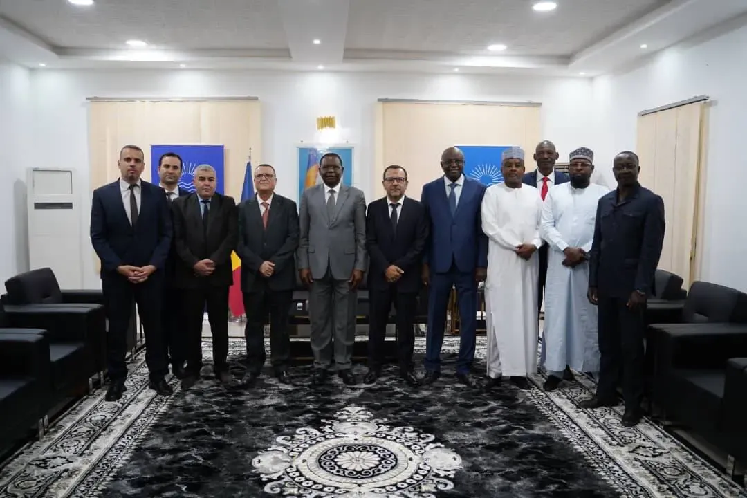 Chadian Prime Minister Receives SONELGAZ Delegation to Discuss Launching 40 MW Power Plant Project
