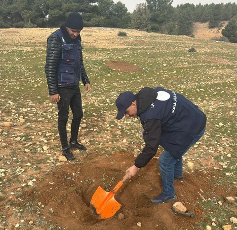 Charef and Aïn Chouhada (Djelfa): Planting of 1,000 shrubs as part of a volunteer campaign