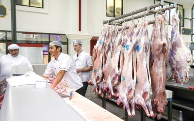 Commencement of Importing 72,000 Cattle and 140,000 Sheep for Ramadan - Iqtissad Al Balad