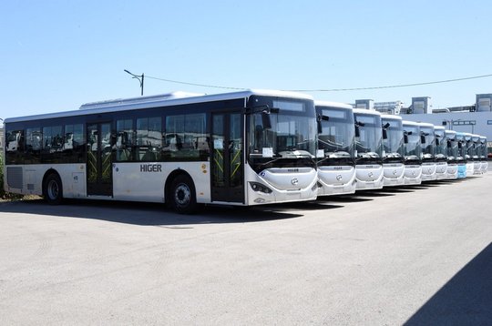 Delivery of the First Batch of Imported Passenger Transport Buses
