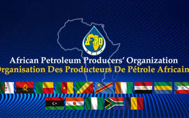 Development of local content in tenders: The APPO is preparing an African platform