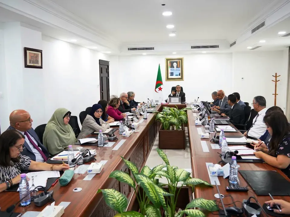 Energy: Ajal chairs a small meeting on gas consumption rationalization and African cooperation