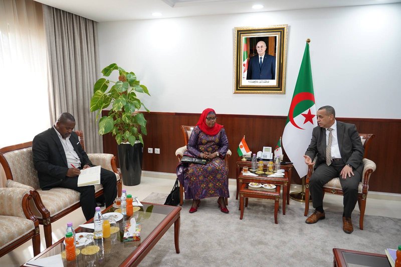 Energy: Ajal discusses ways to enhance bilateral cooperation with his Nigerien counterpart