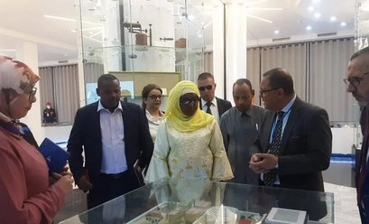 Energy: SONELGAZ Receives Important Delegations from Niger and Chad