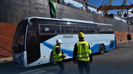 Enhancing Public Transport: Arrival of 435 New Buses in Algeria