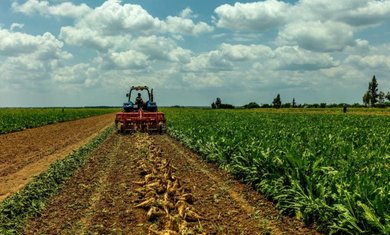 Expert: Agricultural cooperatives will contribute to reducing the food import bill - Iqtissad Al Balad