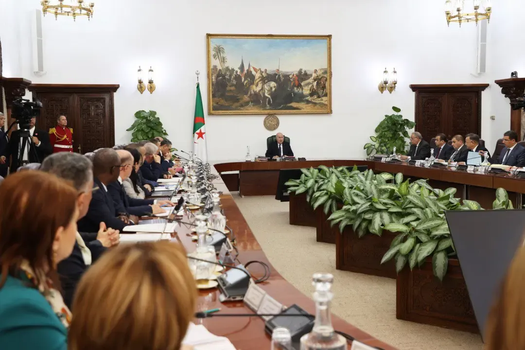 Experts Praise the President's Directives in the Mining Sector