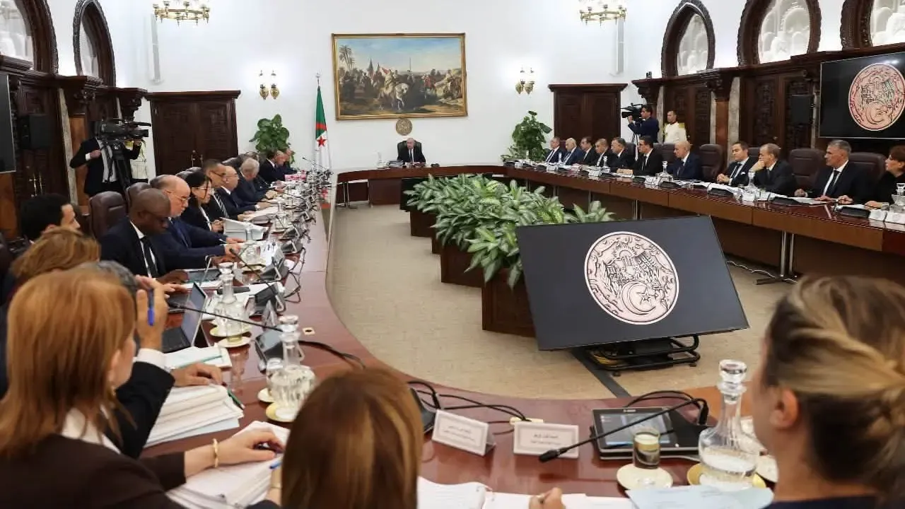 Experts: Special Council of Ministers for Agriculture is an Opportunity to Enhance Food Security and Develop the Sector