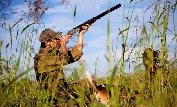 Forests: The official opening of the hunting season 2026-2027 on October 10