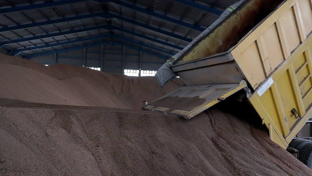From Béjaïa Port.. Export of 2053 tons of olive pomace to Italy