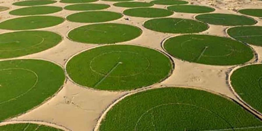 From the dream of Atlantropa to the agricultural reality of the Algerian Sahara