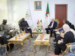 Gouidri discusses prospects for cooperation and partnership with the Nigerian Minister of Health - Iqtissad Al Balad
