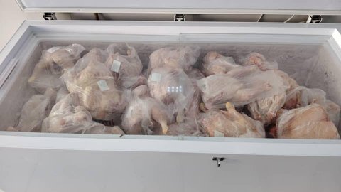 Gradual introduction of significant quantities of frozen chicken into the market at a price of 330 DZD/kg