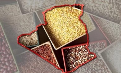 Gradual Program to Eliminate the Import of Seeds and Seedlings and Enhance Food Security