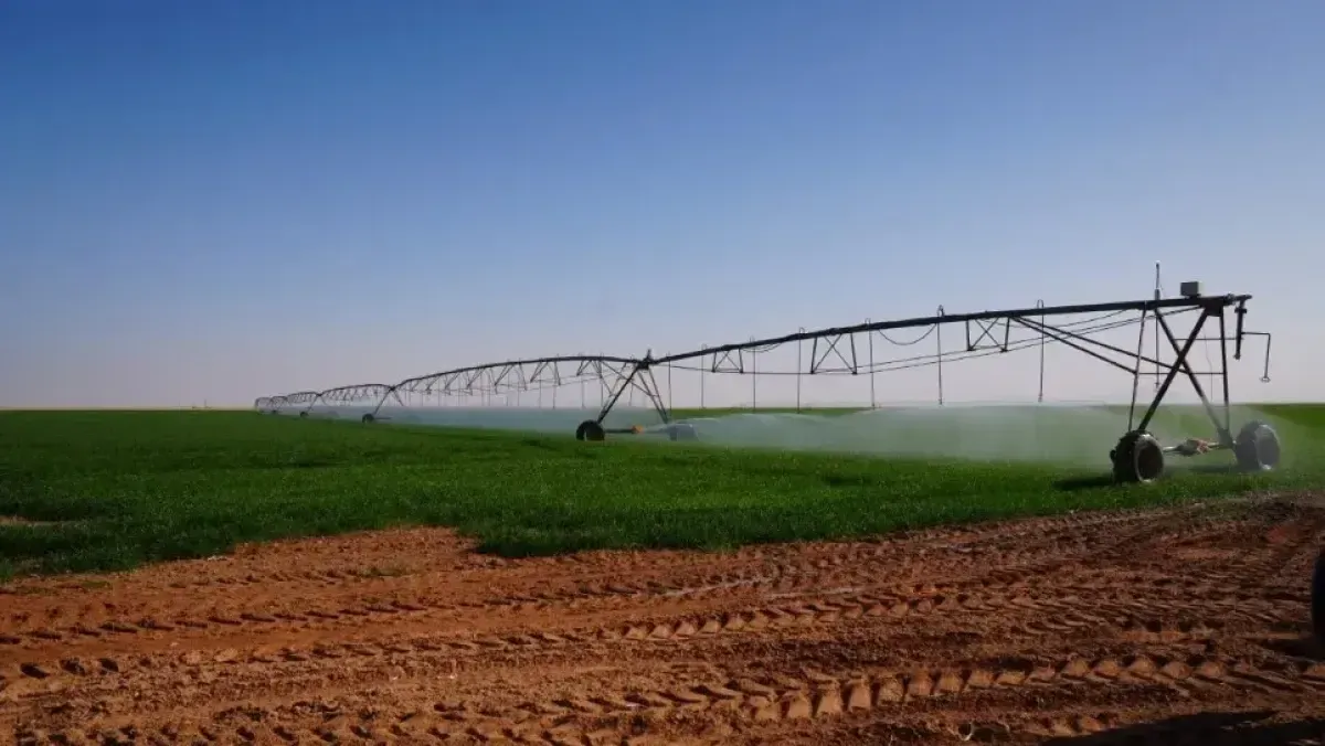 Has Algeria achieved self-sufficiency in durum wheat and barley?