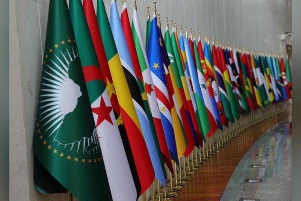 Hydrocarbons, mines, energy: Algeria intensifies its African partnerships