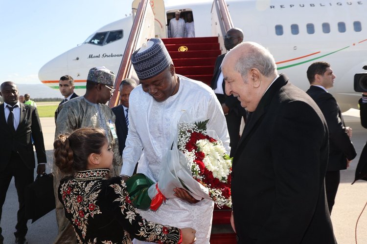 Important decisions have been made: Algeria and Niger seal their alliance