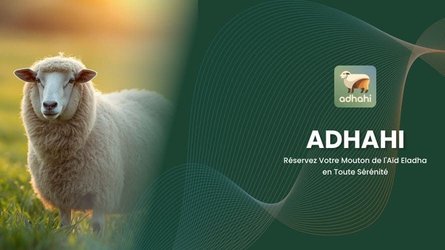 Imported sheep exceed one million heads.. and the 'Adahi' platform reveals the latest figures