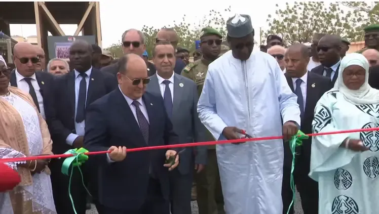 Inauguration of the Algerian-Nigerian Electricity Generation Station
