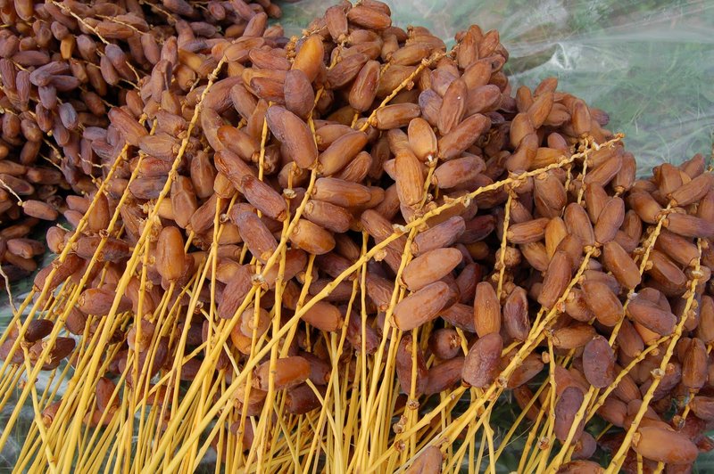 International Date Palm Fair 2025: Algeria Must Sell Its Heritage at Its True Price