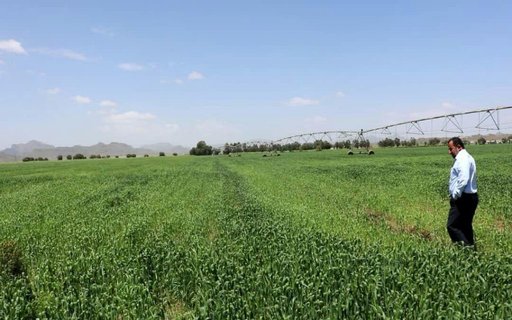 Iraq Bans Import of 11 Agricultural Products