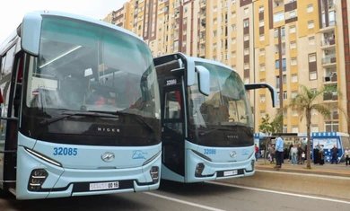 "Ittouza": Transportation services across all "Ittouza" lines will be free throughout tomorrow, Thursday, July 2 - Iqtissad Al Balad