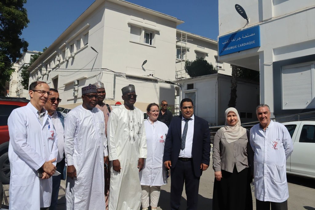 Kidney Diseases and Organ Transplantation.. A Nigerian Delegation Visits Mustafa Pasha Hospital - Iqtissad Al Balad