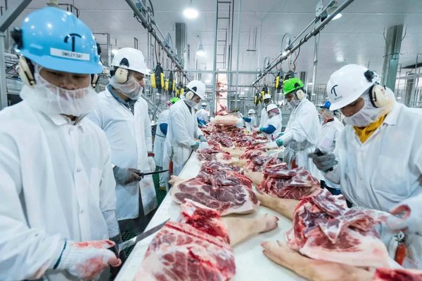 Launch of a specialized hub for food processing industries in Ain Defla - Iqtissad Al Balad