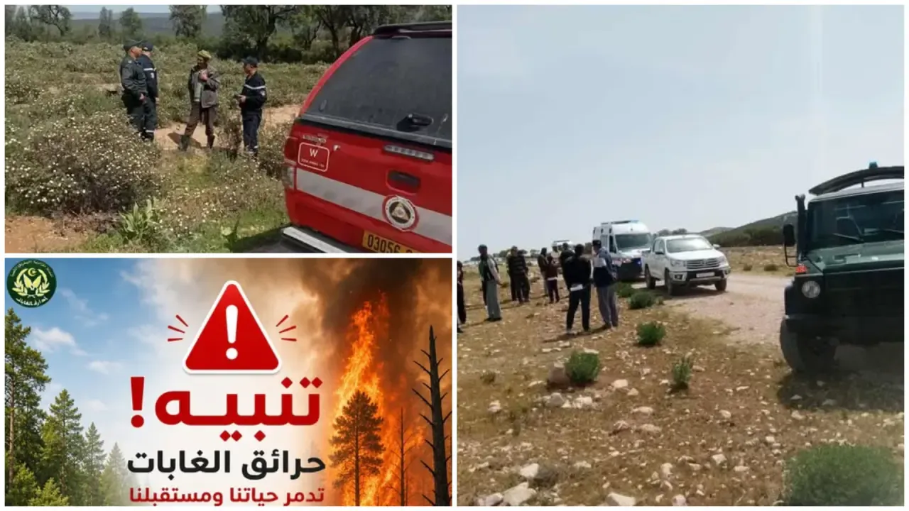 Launch of an awareness caravan for the prevention of forest and agricultural crop fires in the east of the country