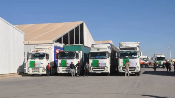 Launch of several export operations from Sétif