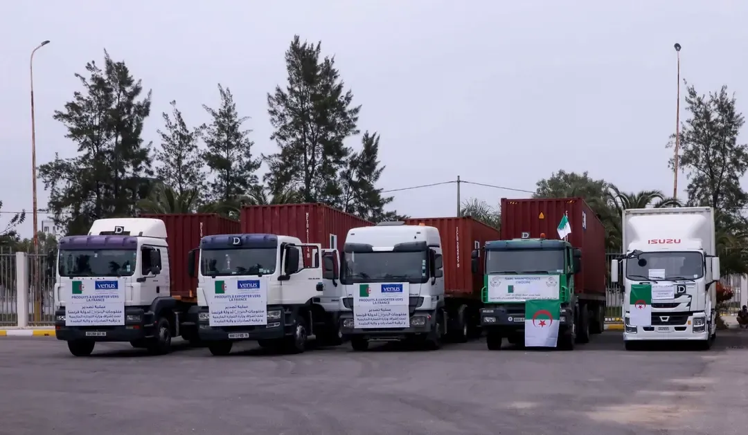Launch of six export operations for local products to five European and Arab countries