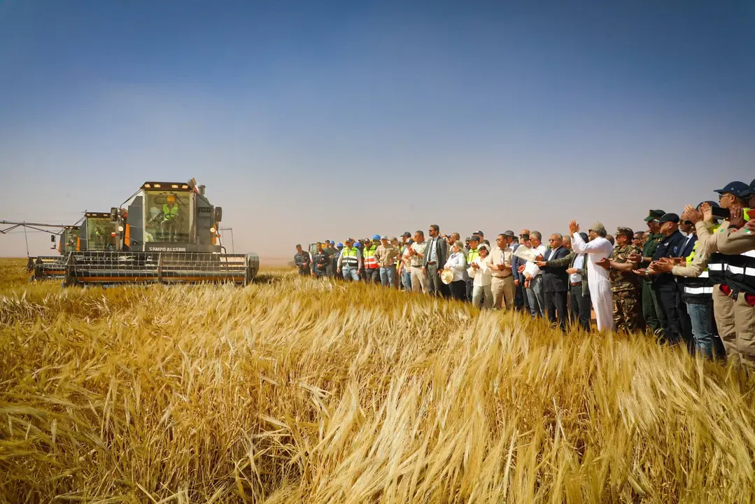Launch of the barley harvest campaign at the Algerian-Qatari integrated project 'Baladna'