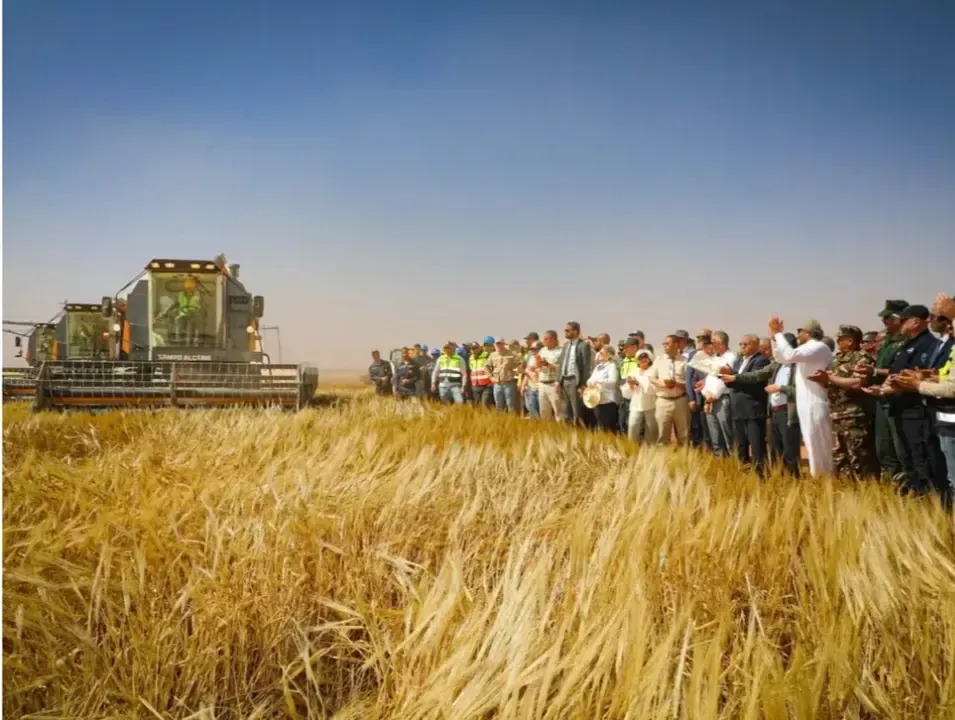 Launch of the barley harvest campaign for the 'Bledna' project