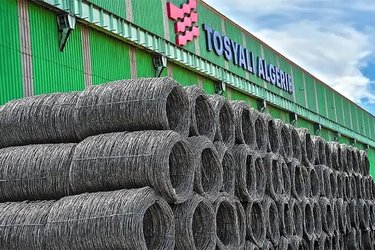 Luxurious Algerian Steel for Cars and Home Appliances Starting from July
