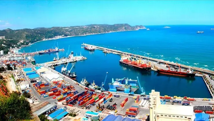 Mandatory Digitization.. Reducing Paperwork and Abandoning Alternative Procedures at Ports!