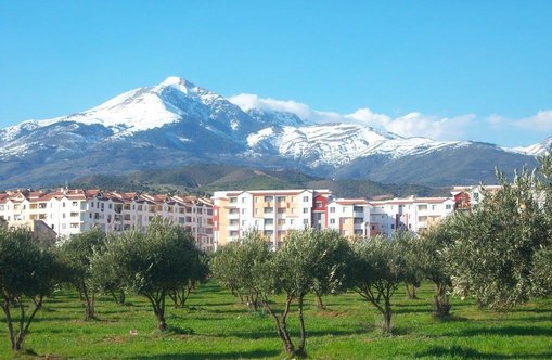 M'chedallah (Bouira Province): An Economic Hub at the Foot of Djurdjura