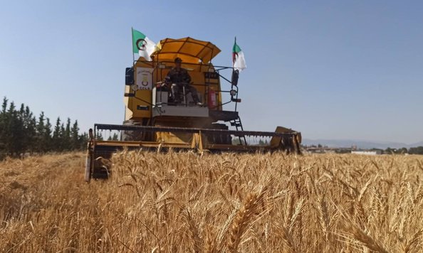 Mechanization of Algerian agriculture: All to succeed in the 2026 harvest campaign