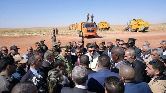 Minister of Agriculture: Menia has proven today to be a promising hub for the production of corn, durum wheat, fodder, and milk - Iqtissad Al Balad