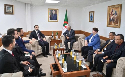 Minister of Mines and Mining Industries Receives Syrian Foreign Minister