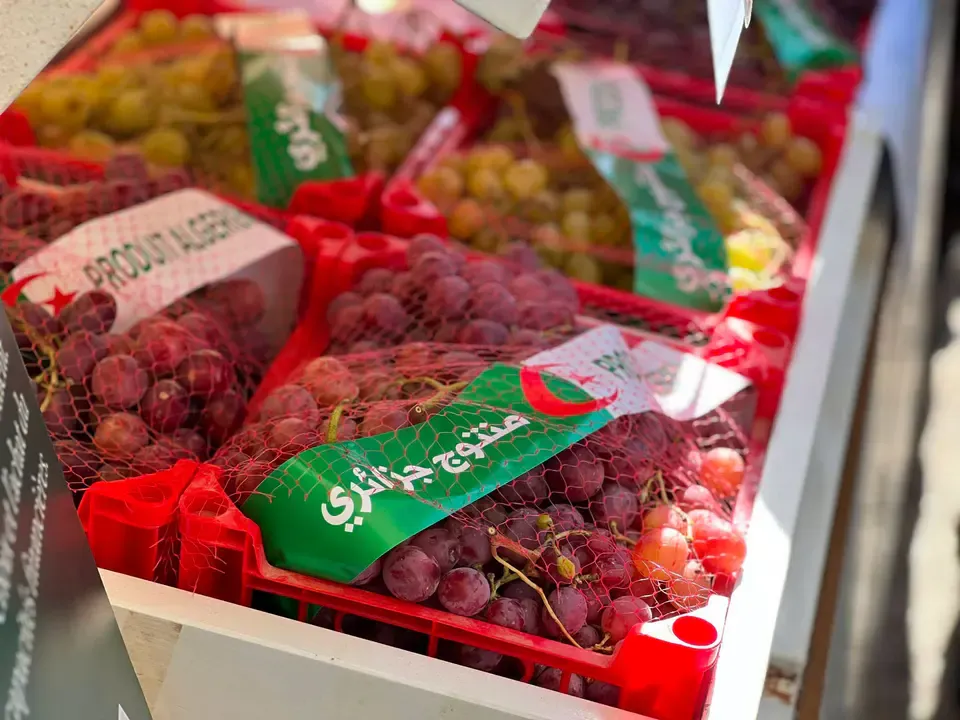 More than 50 exhibitors participate in the national grape exhibition