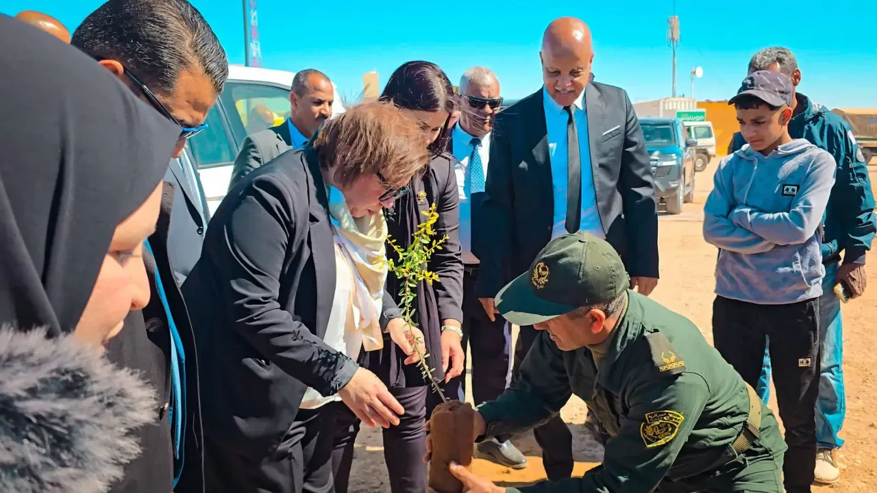 National Campaign to Plant 5 Million Shrubs: Minister of Vocational Training and Education Participates in Afforestation Operation in Tindouf
