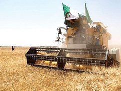 National events organized to commemorate World Day to Combat Desertification and Drought tomorrow, Wednesday