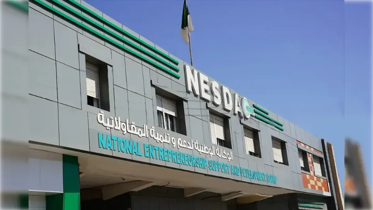 NESDA: Establishment of 7009 micro-enterprises since October 2025