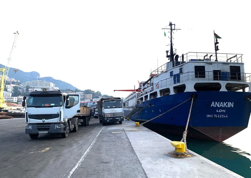 New docking of a ship carrying 6,397 heads of sheep coming from Spain - Iqtissad Al Balad