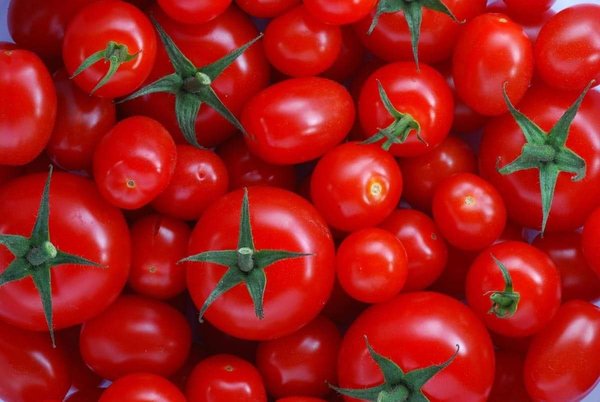 New Measures to Support the Tomato Sector and Stabilize Prices