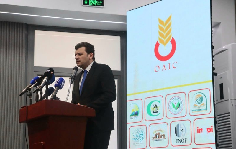 New program to support legume production for grain producers starting this year - Iqtissad Al Balad
