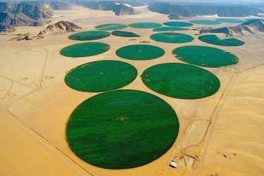 New Project of Italian 'B.F.' in Timimoun Province